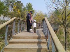 -东郊湿地公园