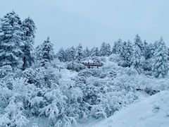 -瓦屋山景区