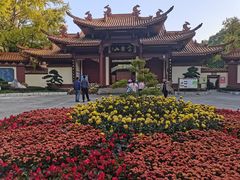 -富乐山