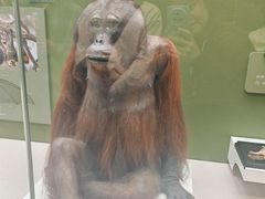 -国家自然博物馆