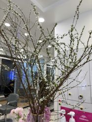 -YESIDO椰岛造型