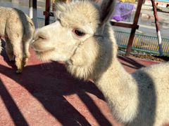 -水上乐园·欢乐世界