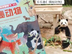-广州长隆野生动物世界