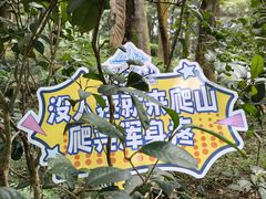 -广州市帽峰山景区