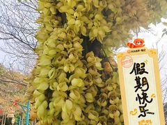 -盈香心动乐园