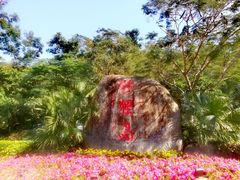 -野狸岛