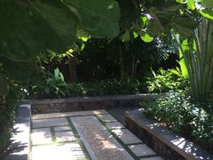 三亚湾红树林度假世界-三亚湾红树林度假世界(木棉酒店)