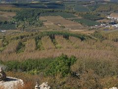 -帽儿山国家森林公园