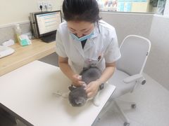 -谐和贝康宠物医院24小时·宠保定点(急重症转诊中心)