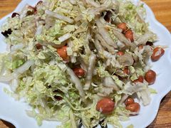 海蛰拌白菜-聚点串吧·北京烧烤(公益西桥店)
