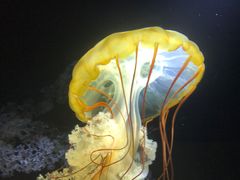 -欢乐海岸海洋奇梦馆