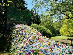 -上海共青森林公园