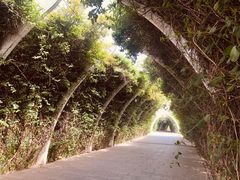 -天津东丽湖风景区