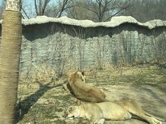 -北京野生动物园