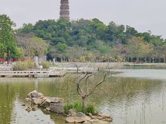 -顺峰山公园