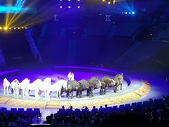 -珠海横琴长隆《卡卡虎奇遇记》