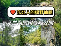 -茅兰沟国家森林公园