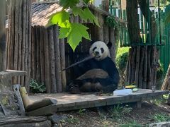 -大连森林动物园