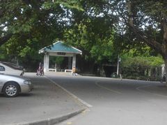 -华中师范大学-图书馆