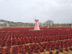 -盈香心动乐园