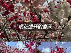 -汉陵苑