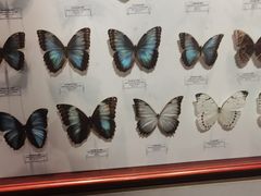 -吉林省自然博物馆