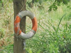 -白鹭湾湿地公园