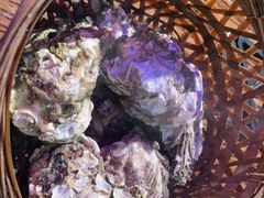 -蚝堡海鲜·威海菜·海肠捞饭·烧烤·亚洲吃蚝公司(幸福门店)