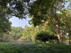 -后襄河公园