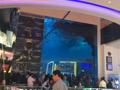 -迪拜水族馆及水下动物园