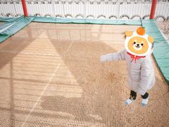 -凤凰欢乐大世界