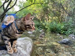 -玉渡山自然风景区