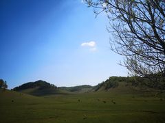-关山草原