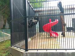 -广东茂名森林公园