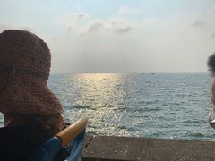 -北海金海湾红树林生态旅游区