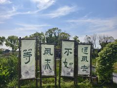 -动邦皮划艇·桨板·独木舟·团建户外运动俱乐部