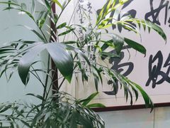 -上海政博律师事务所