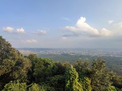 -紫金山山顶公园