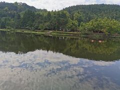 -庐山风景区花径公园