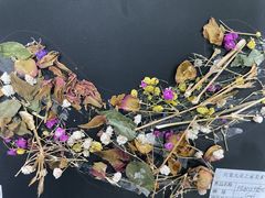 -宾果蒙特梭利托育儿童之家幼儿园(爱琴海店)