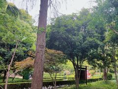 -上海佘山国家森林公园天马山园