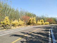 景点-西昌邛海湿地