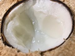 -志龙皇冠吃货椰子铺