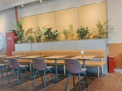 -Wagas沃歌斯(汇智店)