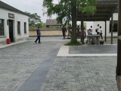 -同里国家湿地公园