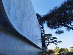 -罗红摄影艺术馆