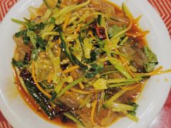 东北大拉皮-哈尔滨阳光饺子园(阳光花园店)