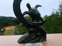 -广东惠东海龟国家级自然保护区