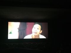 华美影城-华美影城(马栏广场店)