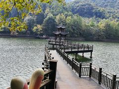 -江西阳明山国家森林公园